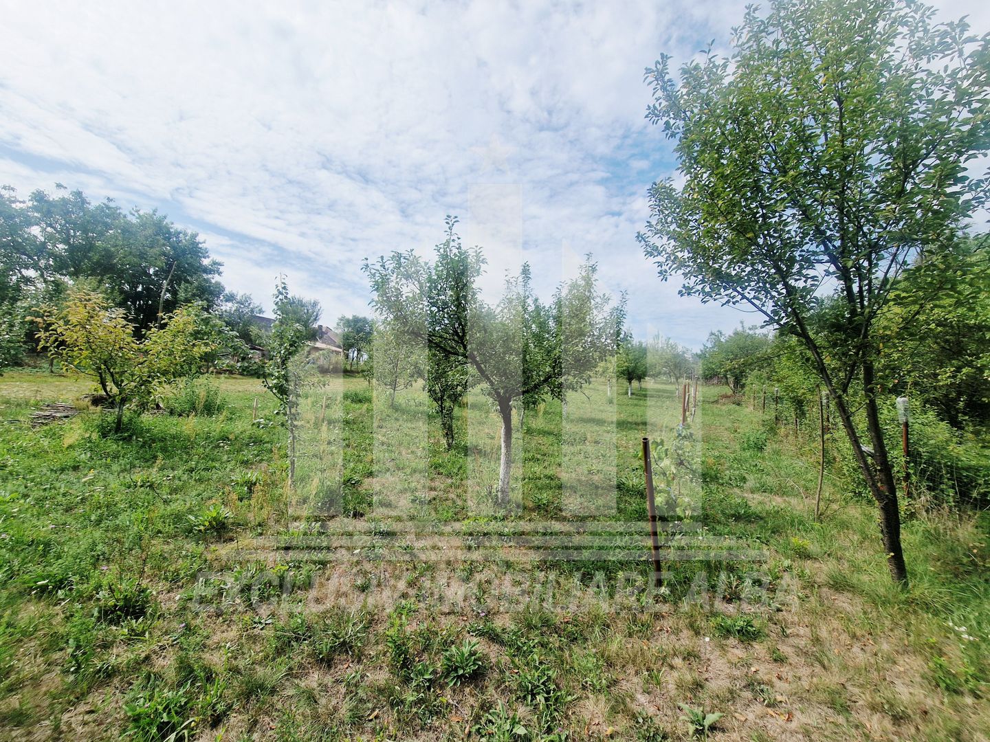 Casa noua cu gradina in Paclisa - Poză 11