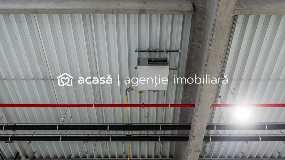 4646 mp - Hala industriala de inchiriat in Parc Industrial Arad - Poză 14