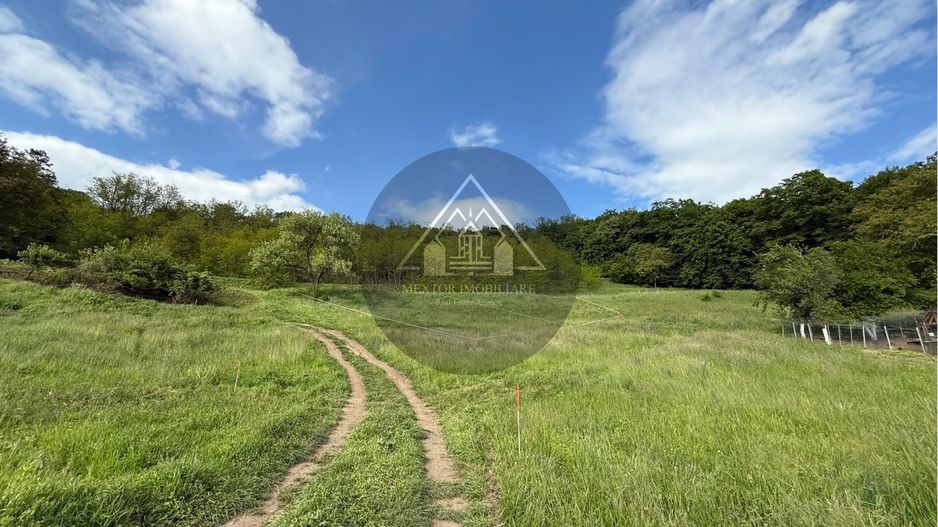 Teren de casa cu PUZ, Mosnei - Poză 3