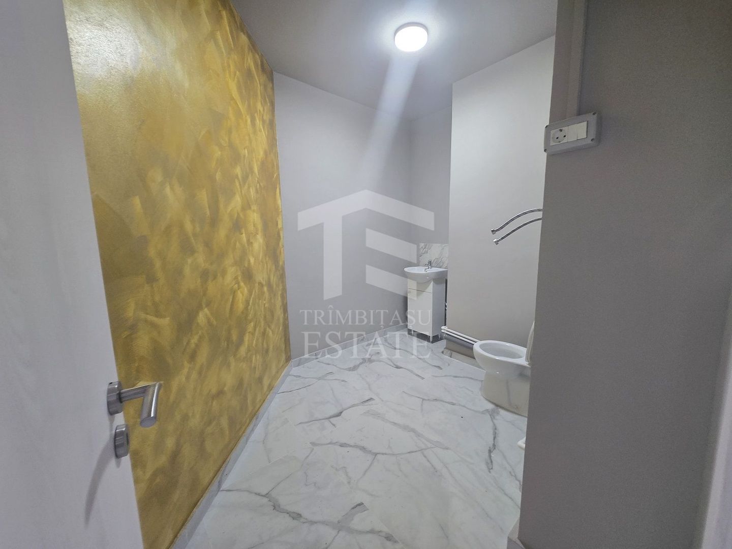 Spatiu comercial 101mp Dristor McDonald's Metrou Stradal Camil Ressu - Poză 9