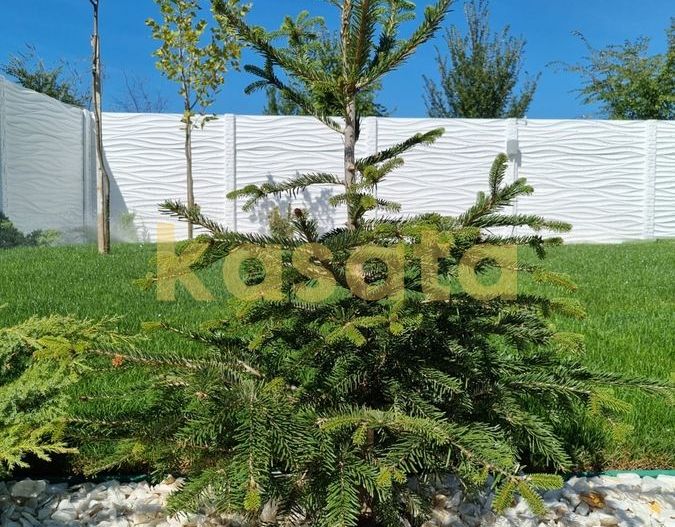 Vila individuală | Proiect nou | 474mp teren | Langa Lacul Morii - Poză 3