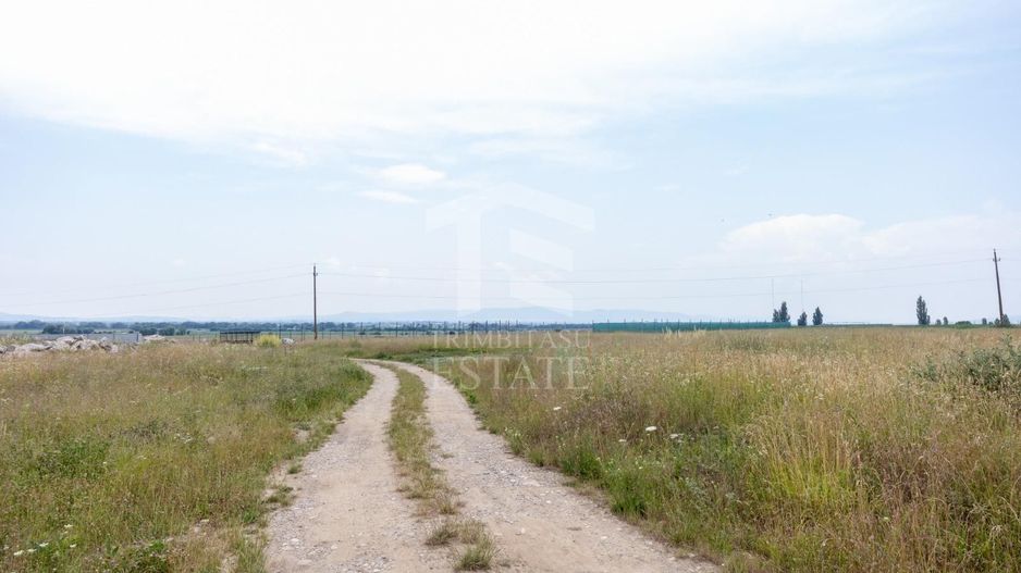 Sanpetru |Teren intravilan 733mp | 3 fronturi stradale - Poză 10