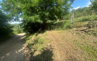 Teren Darmanesti | 41 Ari | 26.500EURO - Poză 1