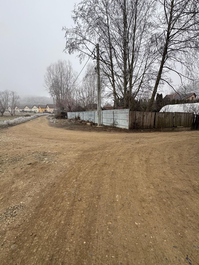Teren de vânzare în zona Sâncraiu de Mureș - Poză 1