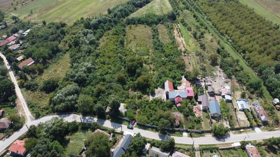Teren 7808mp Bolovani - comuna Cornățelu (COMISON ZERO) - Poză 2