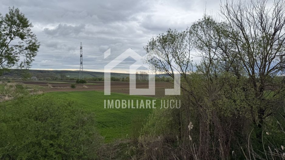 Teren intravilan – 1.738 mp | Jucu de Sus, zona Moliturii, front 23 - Poză 4