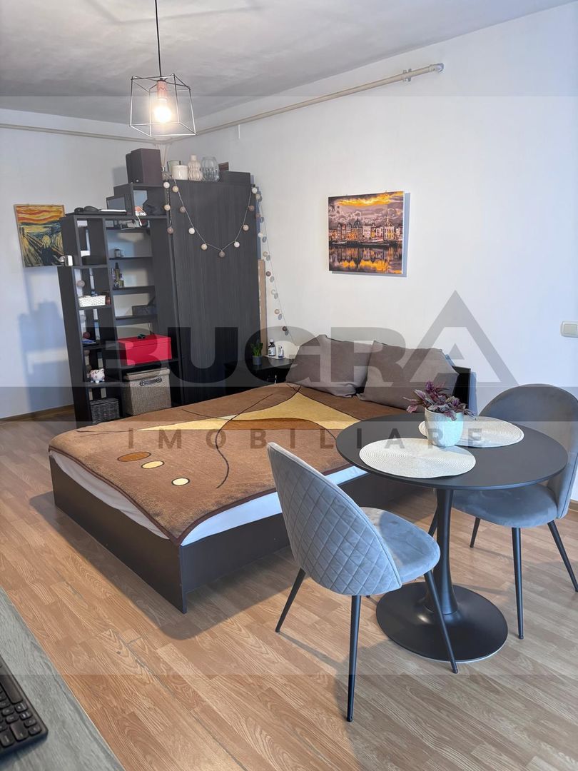 Apartament 1 camera, 35 mp, parcare cu CF, zona Albac - Poză 7