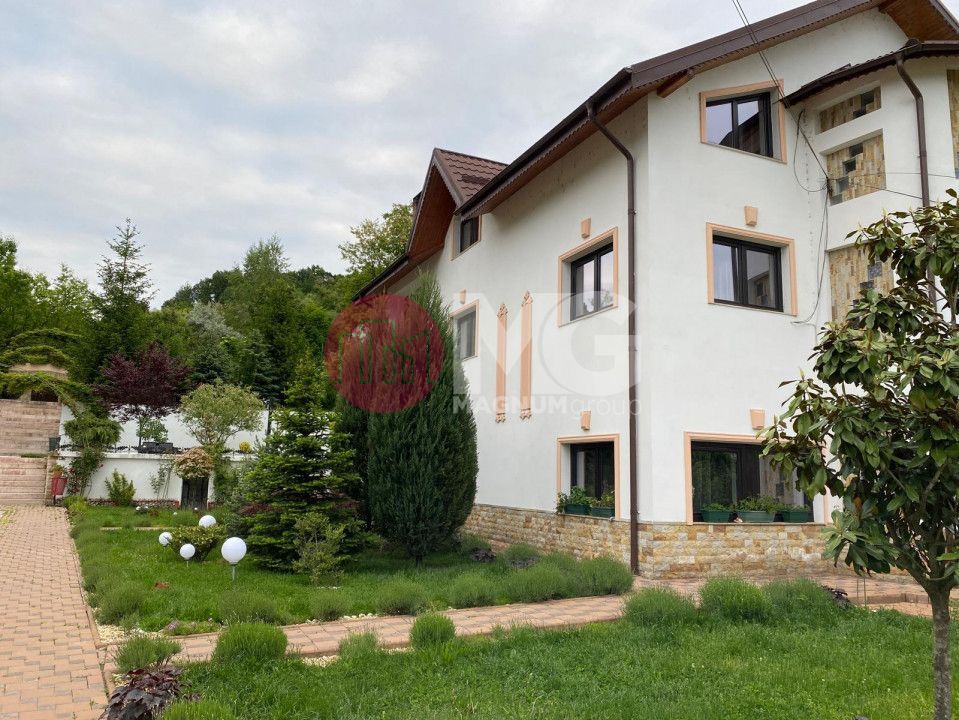 Domeniu de vanzare, Baile Govora teren 20875mp - Poză 2