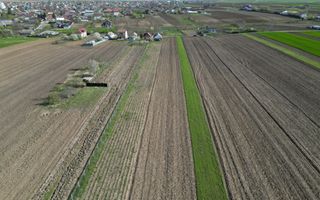 Teren de vânzare, Com. Nicolae Bălcescu, Jud. Bacău - Poză 12