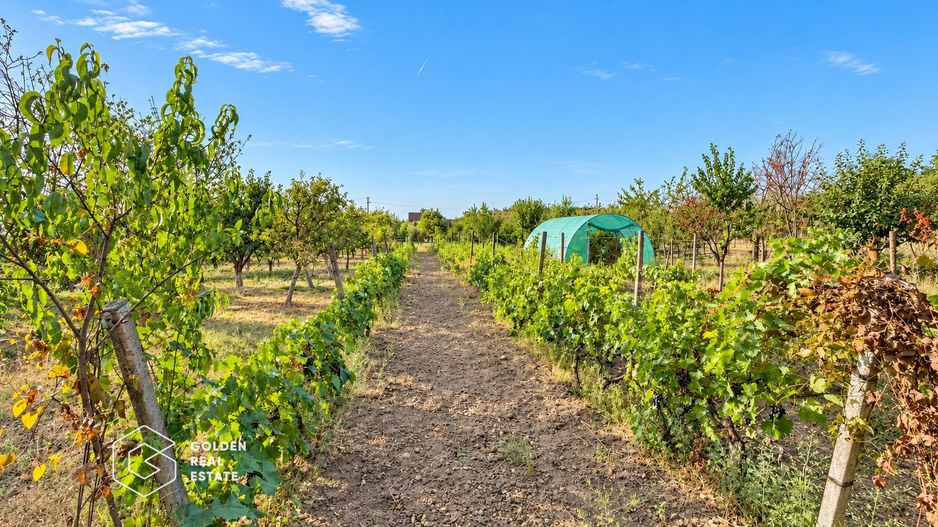 Casa cu doua corpuri de cladire in Masca, com Siria, comision 0% - Poză 10