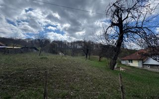 TEREN INTRAVILAN 4365 MP POENARII DE MUȘCEL  JUDEȚUL ARGES - Poză 5