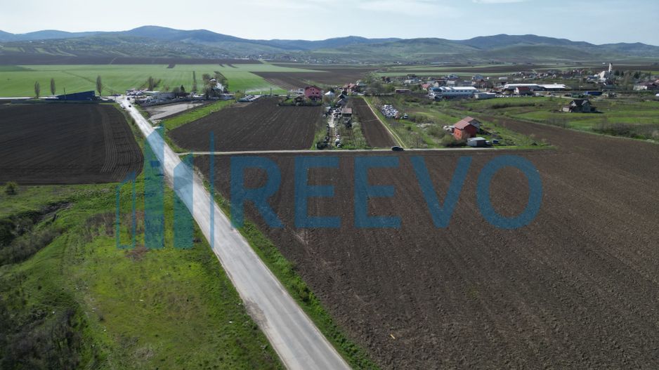 Teren de vânzare, Com. Nicolae Bălcescu, Jud. Bacău - Poză 6