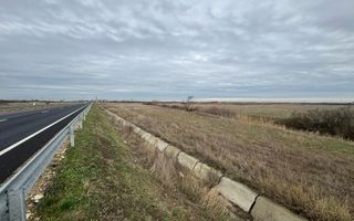 Teren 5.000 mp centura Calea Sagului- Freidorf. - Poză 2