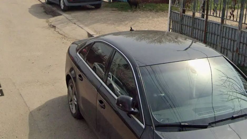 De vanzare teren intravilan 2020mp, zona Zetari - Poză 4