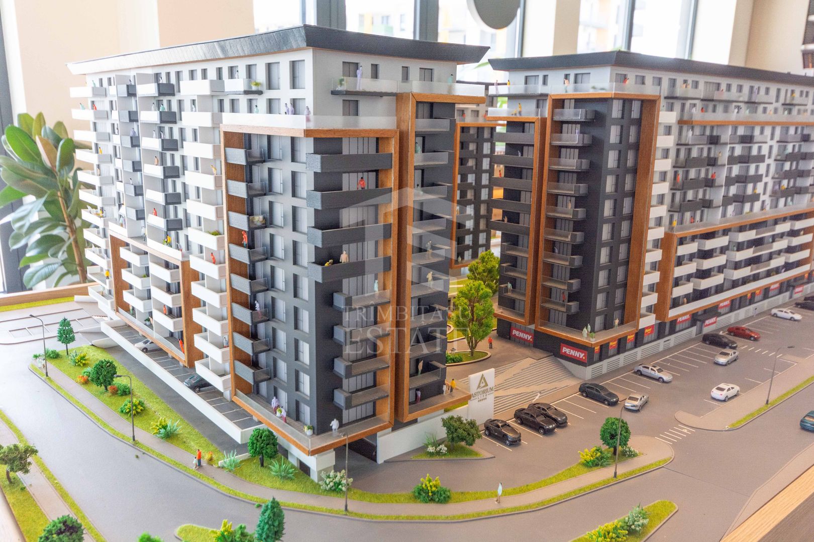 Titan Astorium Gars DUBLA predare2025 calitate Premium DESIGNER INCLUS - Poză 11