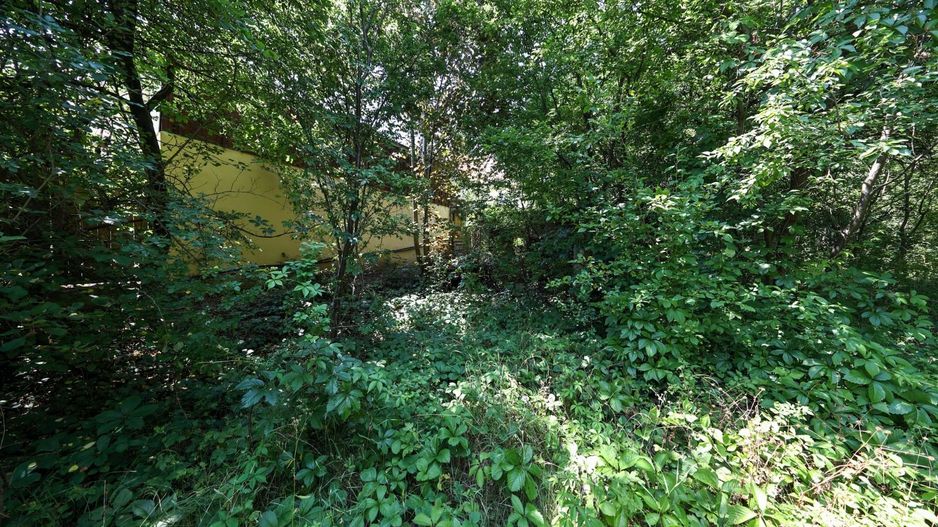 Casă spațioasă în centrul orașului Sfântu Gheorghe | Teren 1300 mp - Poză 12