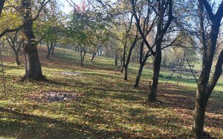 TEREN INTRAVILAN 3000 MP, CAMPULUNG - Poză 5