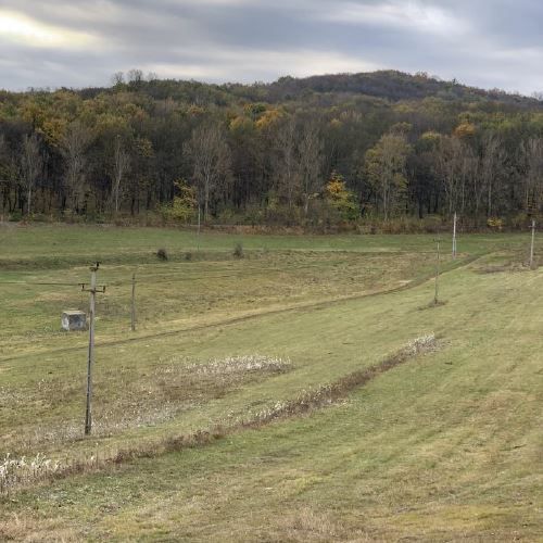 Teren Medias - Poză 2