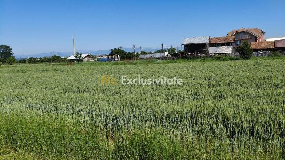 Teren 10.294 mp de vânzare Târgu Jiu | Intravilan + Extravilan | Utilități - Poză 4