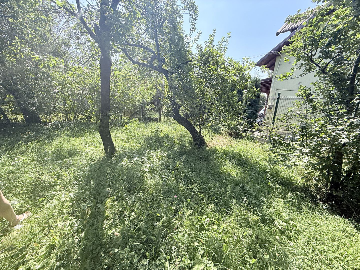 Casa interbelică cu arhitectură deosebită+Anexa și teren 1570 mp - Poză 33