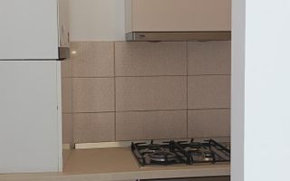 Apartament 2 camere | Spatios | Herastrau - Poză 11