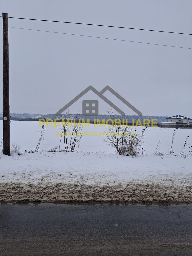 Teren de vânzare – Zona Andrășești – 16.000 mp - Poză 2