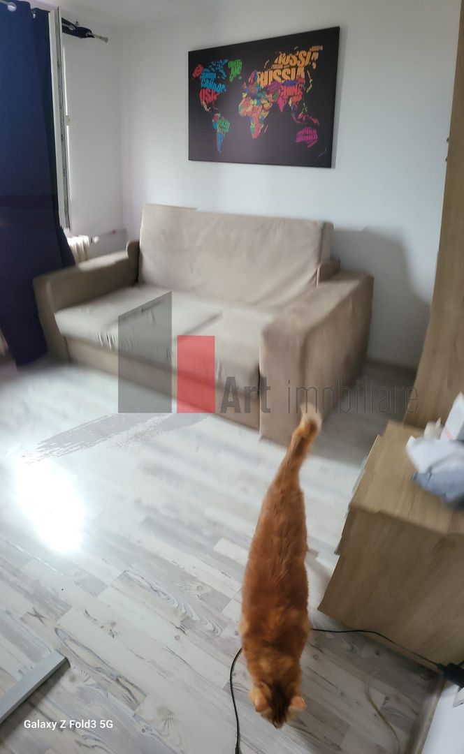 Apartament 3 camere decomandat Trapezului - Poză 6