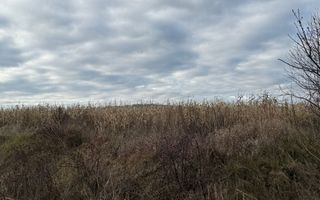 VAND TEREN 46 ARI | VOLOVAT | 47.000 EURO | - Poză 6