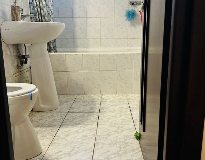 Apartament 3 camere  | Titan-Liviu Rebreanu | Parcare | Metrou la 6 minute - Poză 11