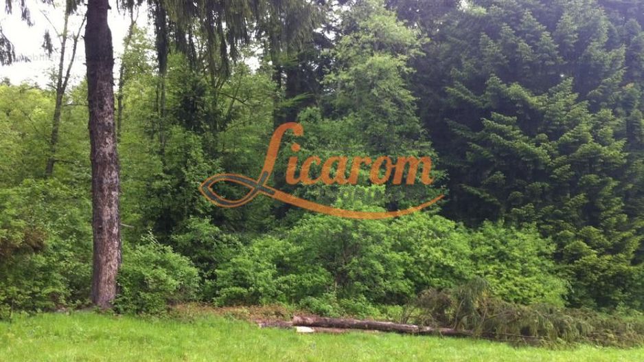 Teren intravilan Cotul Donului,pretabil Hotel/pensiune. - Poză 8