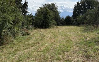 Teren | Intravilan | 2100MP | Porumbacu de Sus - Poză 1