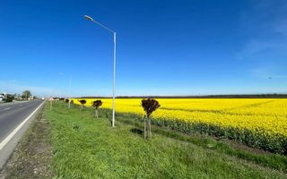 | OPORTUNITATE | DE VANZARE TEREN BRANESTI 41.317 mp DESCHIDERE 85 m - Poză 4