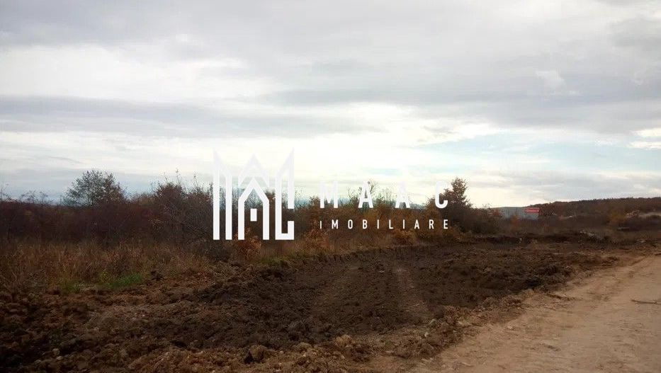 Teren Extravilan | 2475 mp | Selimbar - Poză 3