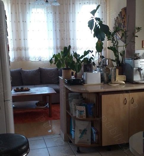Casa str.Dara teren 11,2 ari - Poză 6