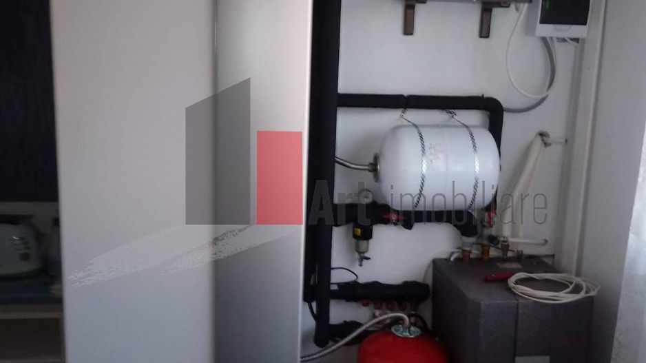 2 case + teren + anexe - proprietate completa in Coteana - Poză 6