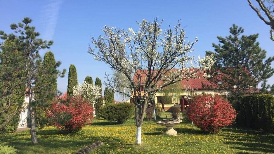 Vila individuala /proiect deosebit - Poză 13