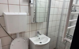 Soarelui-Cerna | 1 Camera | Recent renovata | Etaj 2 | Mobilat si Utilat - Poză 6