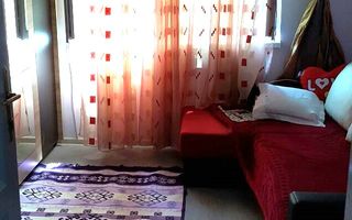 Vilă în Cotroceni | Curte proprie | Gradina Botanică-Palat-Carol Davilla - Poză 7