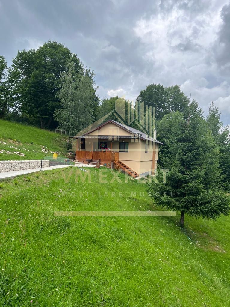 CASA 3 CAMERE, TEREN 3100 MP, ALBESTI DE MUSCEL, ARGES - Poză 4