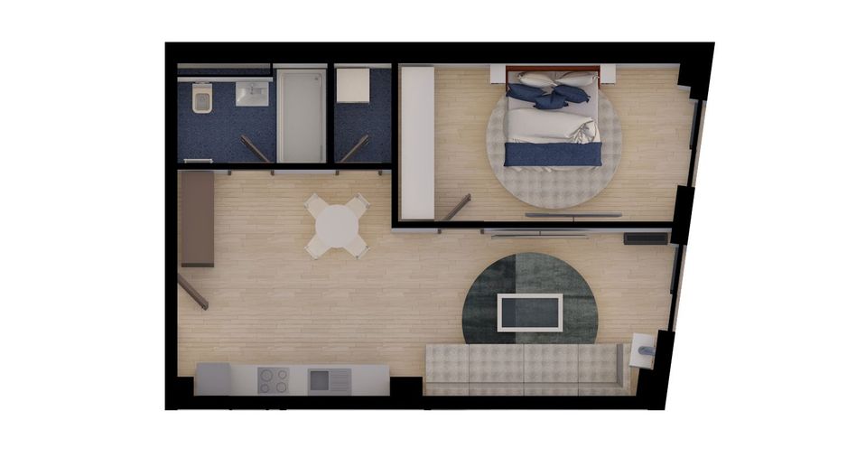 Circumvalatiuni-Lidl | Vedere Panoramică | Parcare subterană | Comision 0% - Poză 7