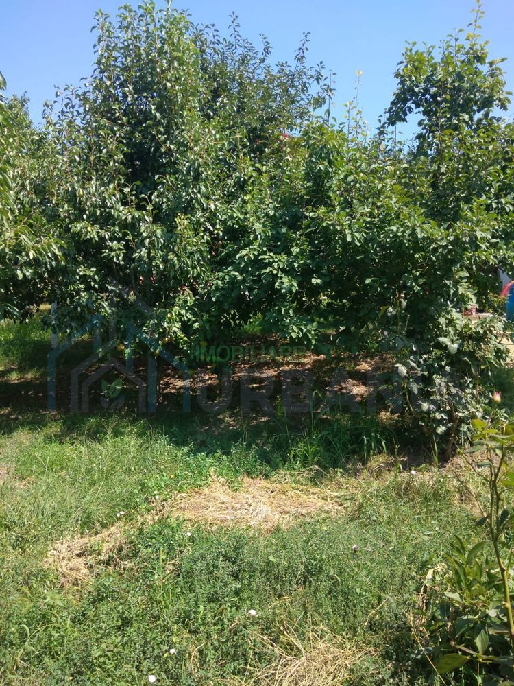 Teren intravilan de vanzare, 500 mp, Breazu - Rediu, Iasi - Poză 3