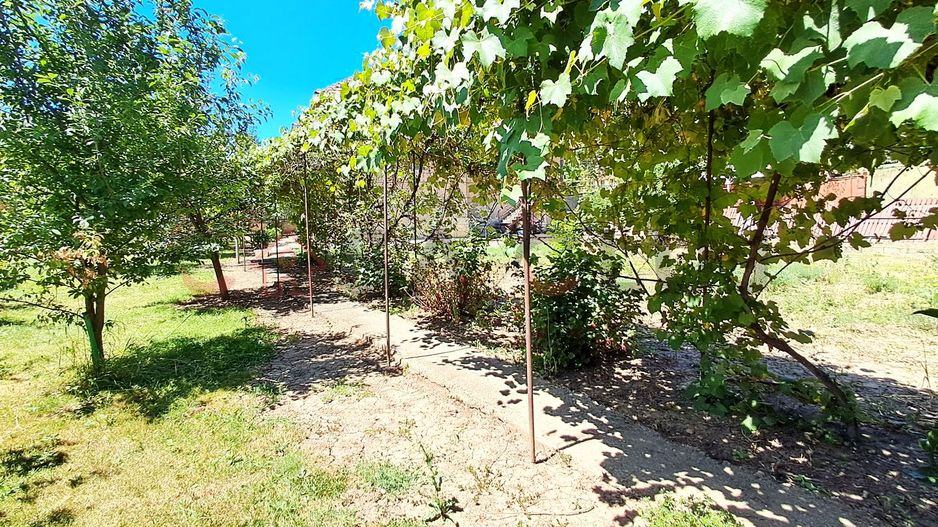 Casă individuală, grădină de vis, 1040mp, în Grigorescu!! - Poză 10