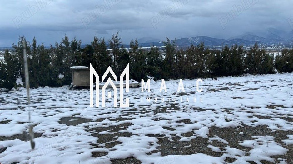 Hală industrială I Birouri I Parcare I TIR I 12000 mp I Bradu - Poză 6