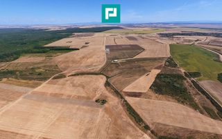 Teren intravilan agricol 558.500 mp Chevereșu Mare - Poză 4
