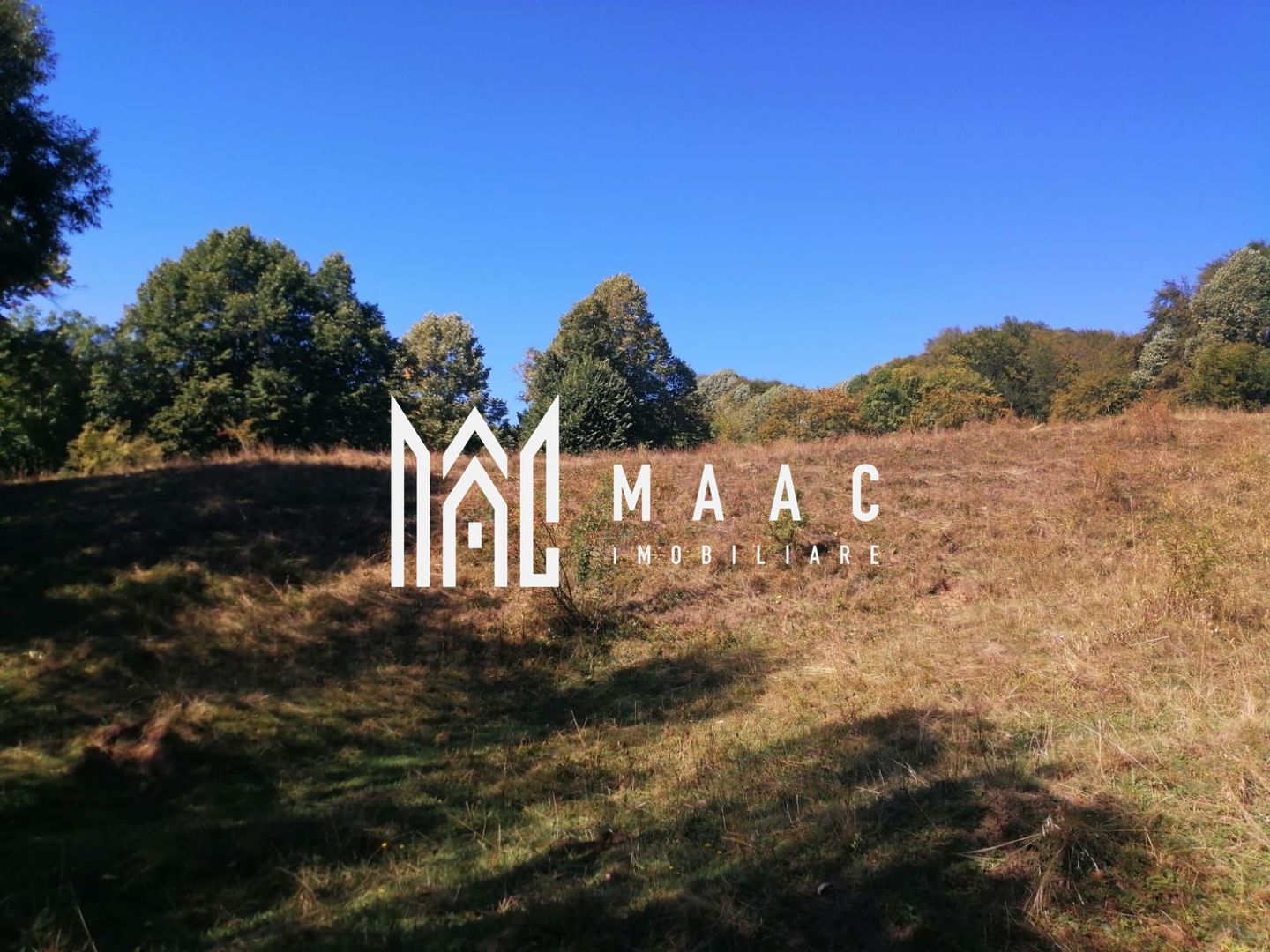 Teren Extravilan 20.000Mp I Stoenești -Vâlcea I Apă Curentă și Pădure - Poză 15