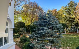 PROPRIETATE CU ENERGIE PURA |  Sanctuarul Eleganței și Rafinamentului - Poză 23