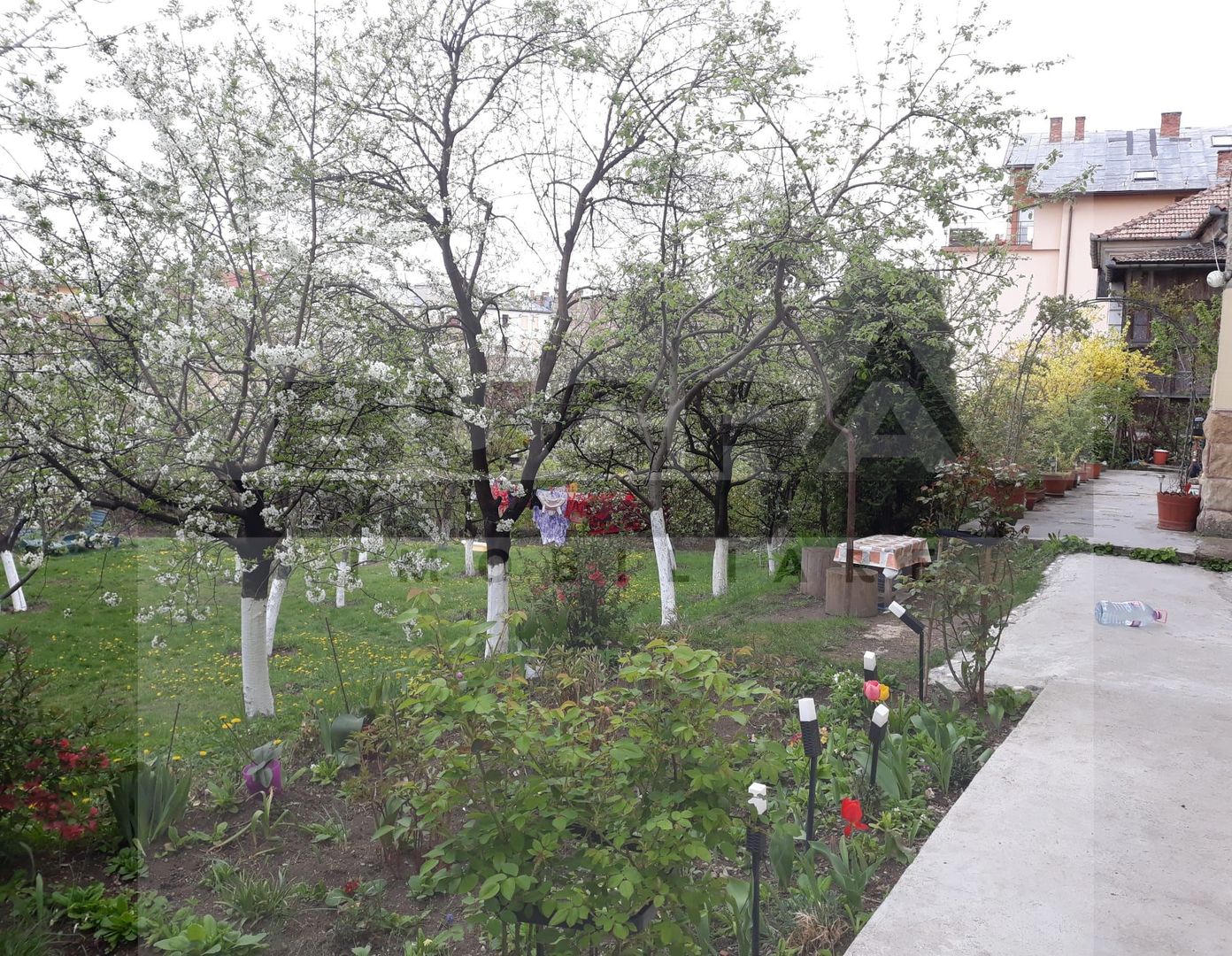 Oaza de liniste in inima orasului – apartament de 3 camere la casa - Poză 1