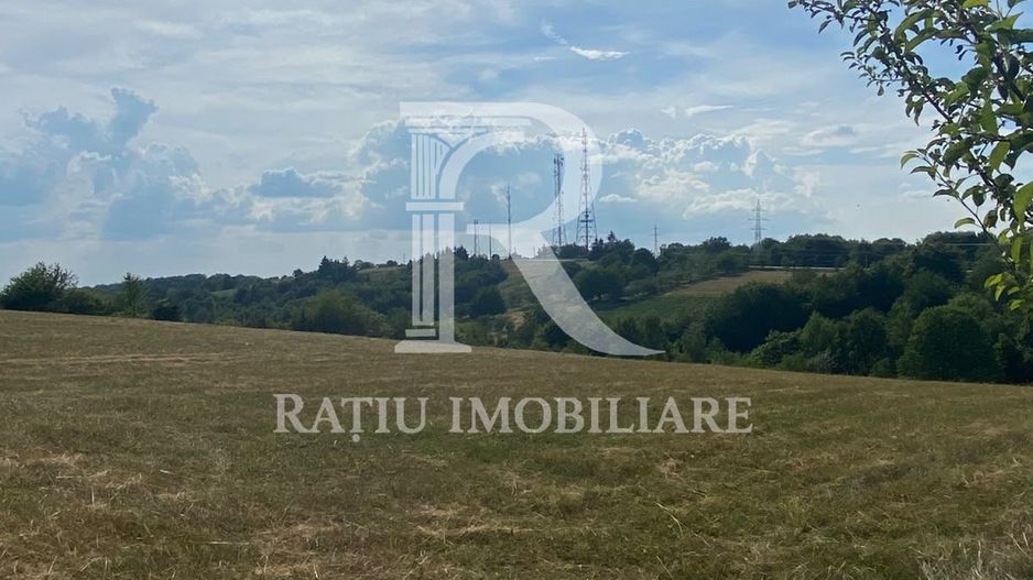 Teren Intravilan | 17.500 mp | Șinteu | Bihor - Poză 2