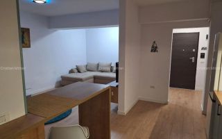 Apartament 2 camere Timpuri Noi Pet Friendly - Poză 2