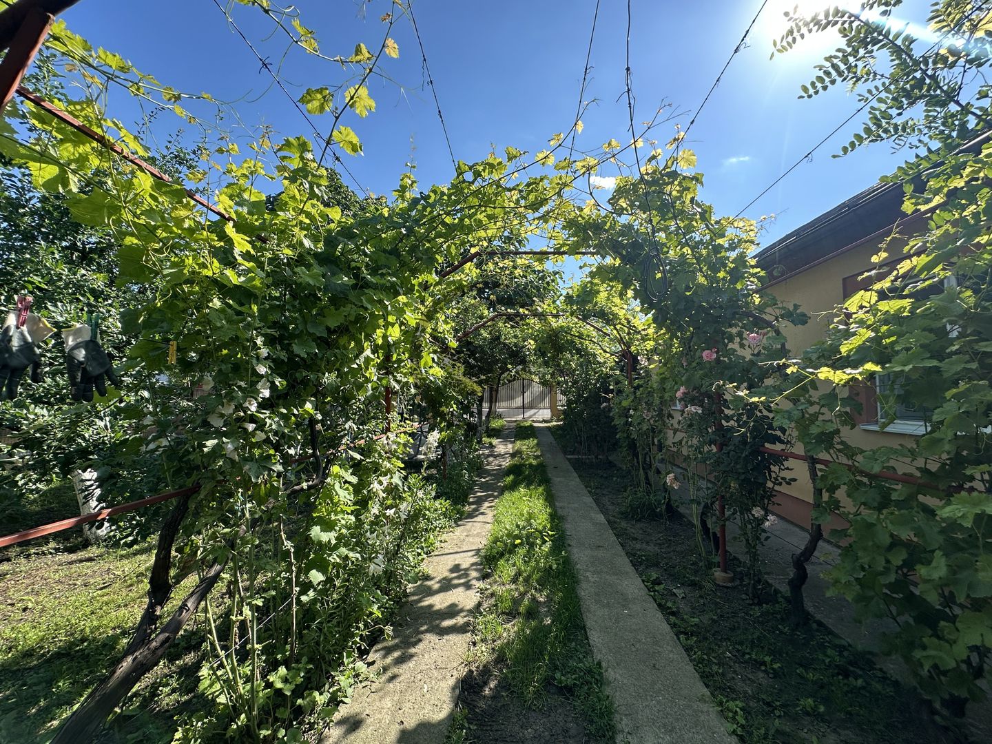Casa 4 camere de vanzare | 660 MP teren | Mizil, Prahova | Comision 0% - Poză 3